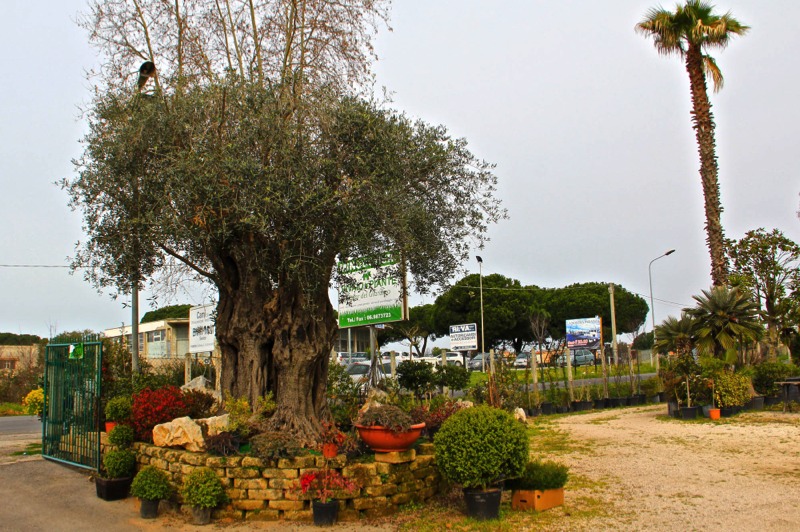Foto GALLERY