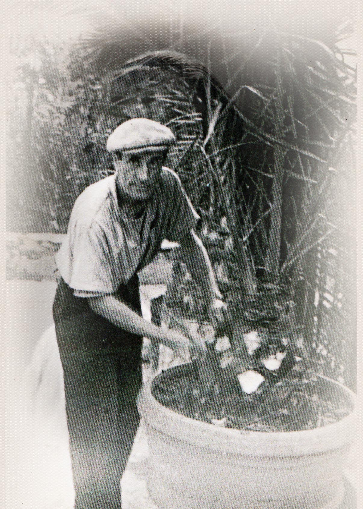 Attilio Minoccheri Senior
